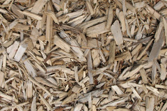 biomass boilers Abermorddu